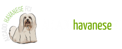 http://www.alcado.pl